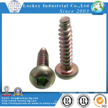 Roud Head Thread Forming Screw